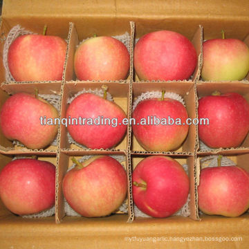 shandong apple